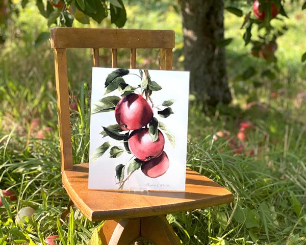 art print of 3 red apples growing on a tree